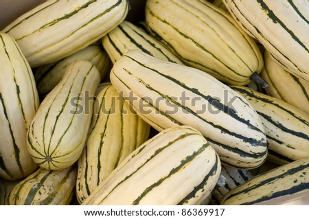 Green And Yellow Squash