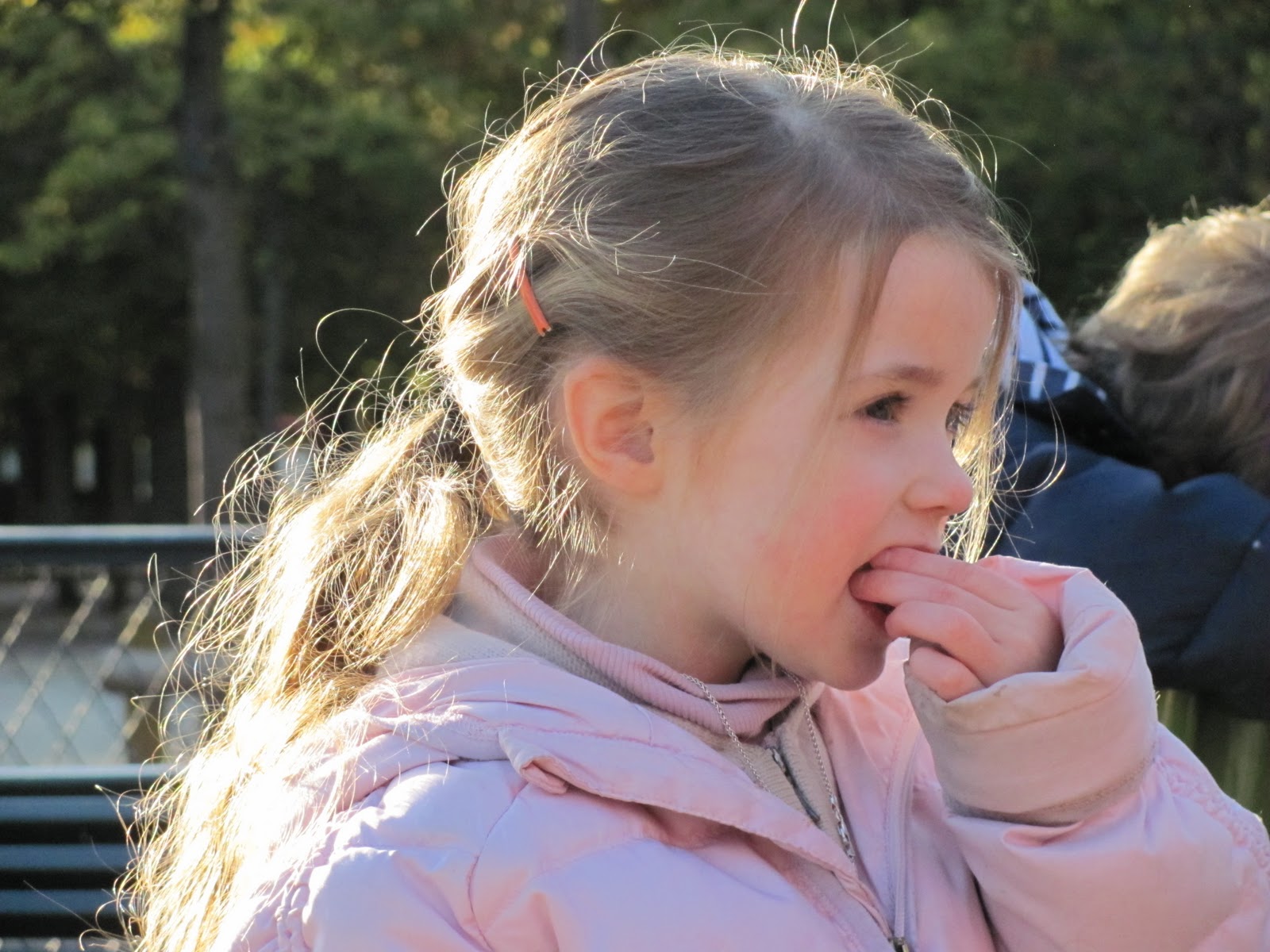 Little Children Playing In The Park Catching Butterflies