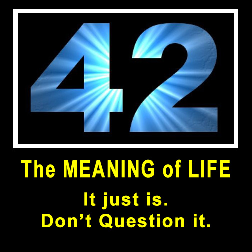 Meaning Of Life 42