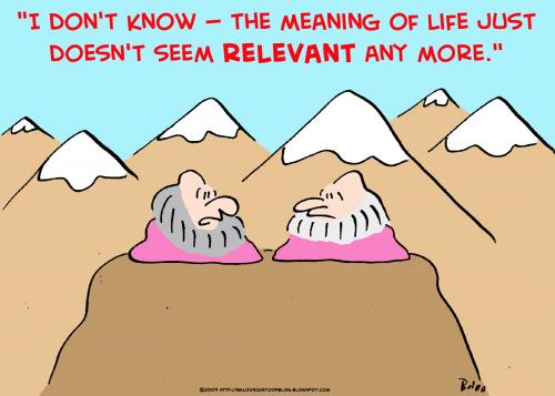 Meaning Of Life Cartoon