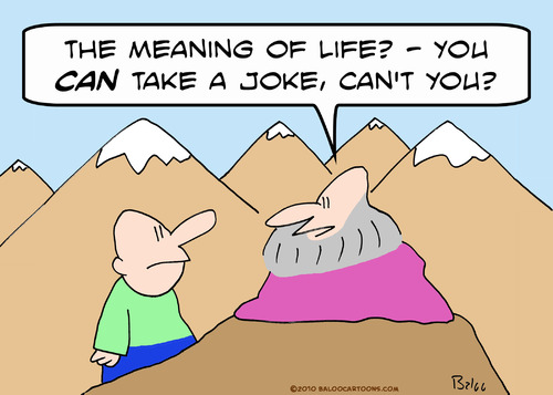 Meaning Of Life Cartoon