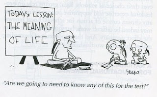 Meaning Of Life Cartoon