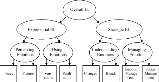 Msceit Emotional Intelligence Test Free