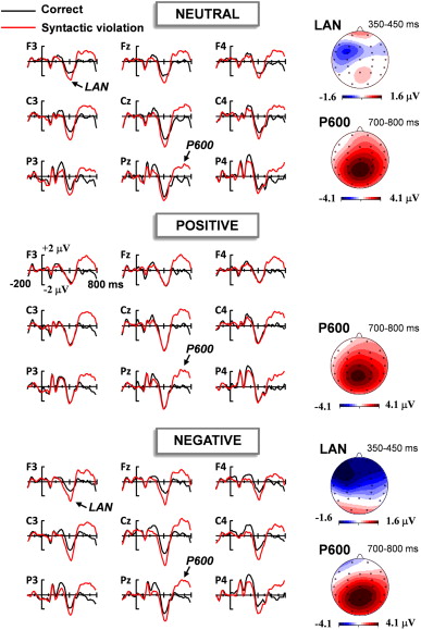 Positive And Negative Emotions List