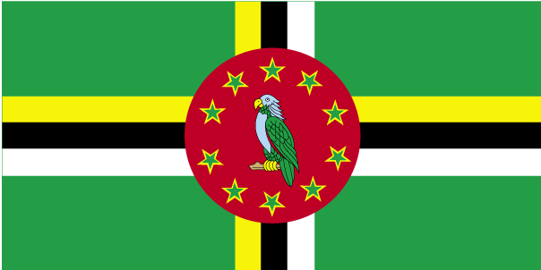 Red Black Green And Yellow Flag