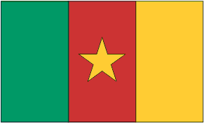 Red Green And Yellow Flag With Star