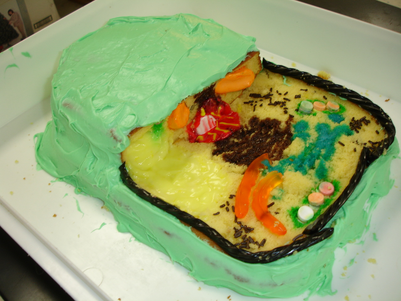 3d Plant Cell Model Project Pictures