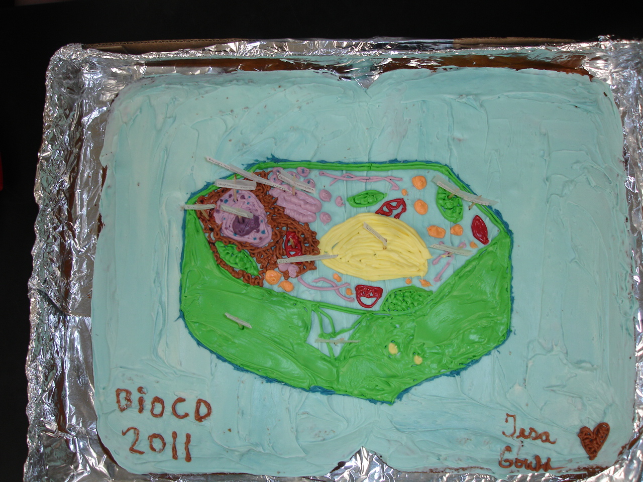 3d Plant Cell Model Project Pictures