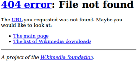 404 Error Not Found Hindi Movie Wiki