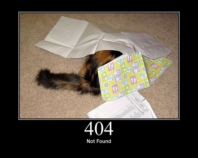 404 Not Found Image