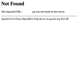 404 Page Not Found Error Redirect