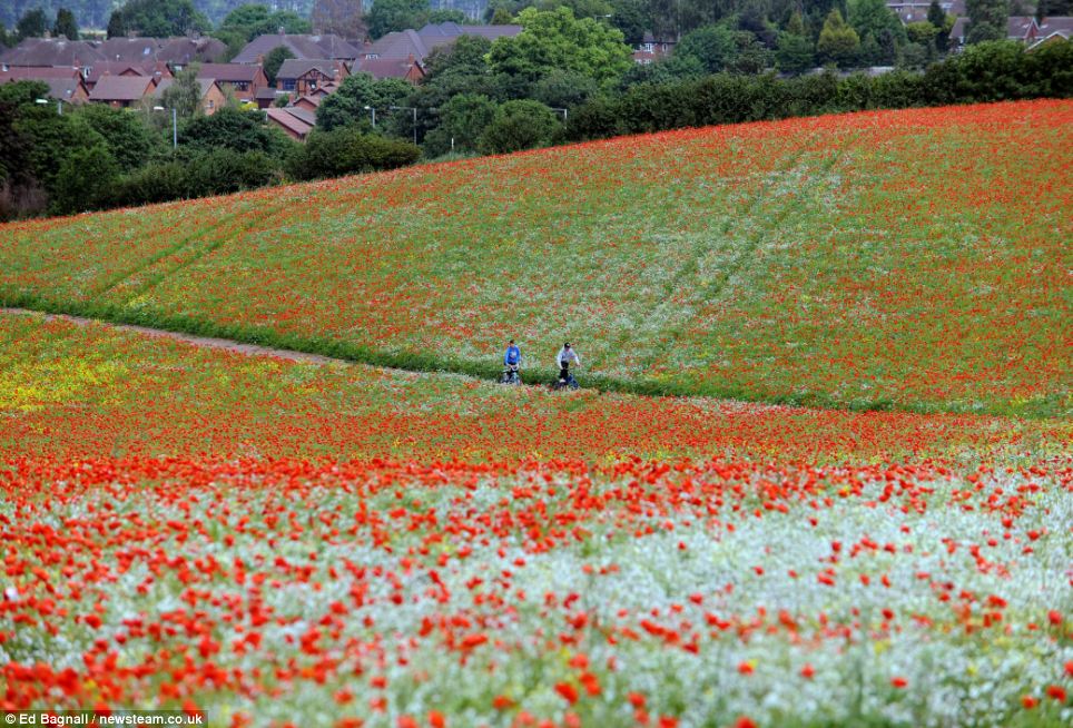 5 Day Weather Forecast Uk Midlands