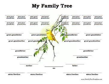 5 Generation Family Tree Chart Template