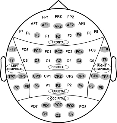 6 Regions Of The Brain