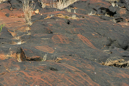 Aboriginal Art Activities For Children