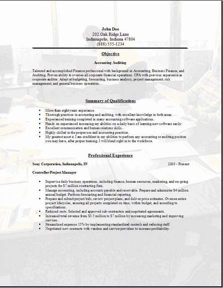 Accountant Cv Format