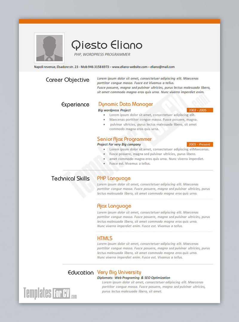 Accountant Cv Format Free Download