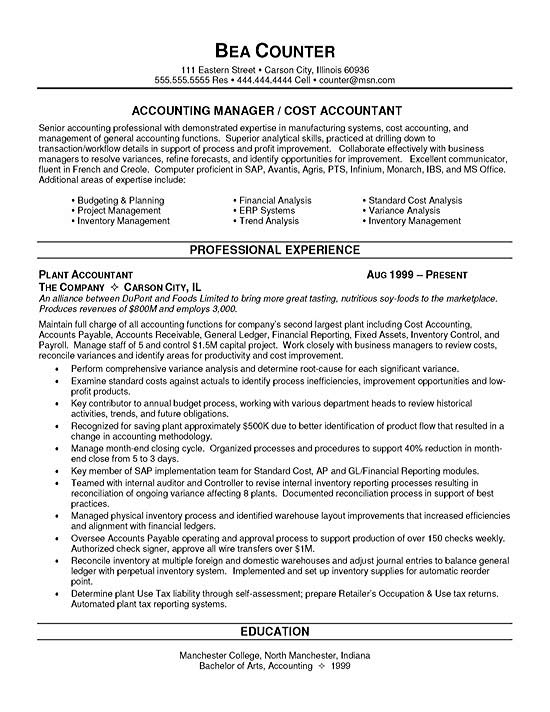 Accountant Cv Samples