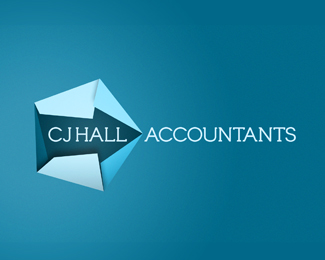 Accountant Logo Inspiration