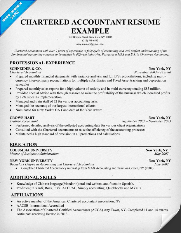 Accountant Resume Format Sample