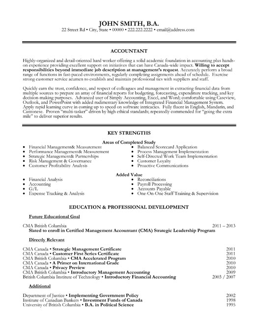 Accountant Resume Format Sample