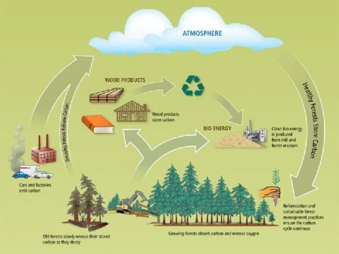 Accounting Cycle Definition