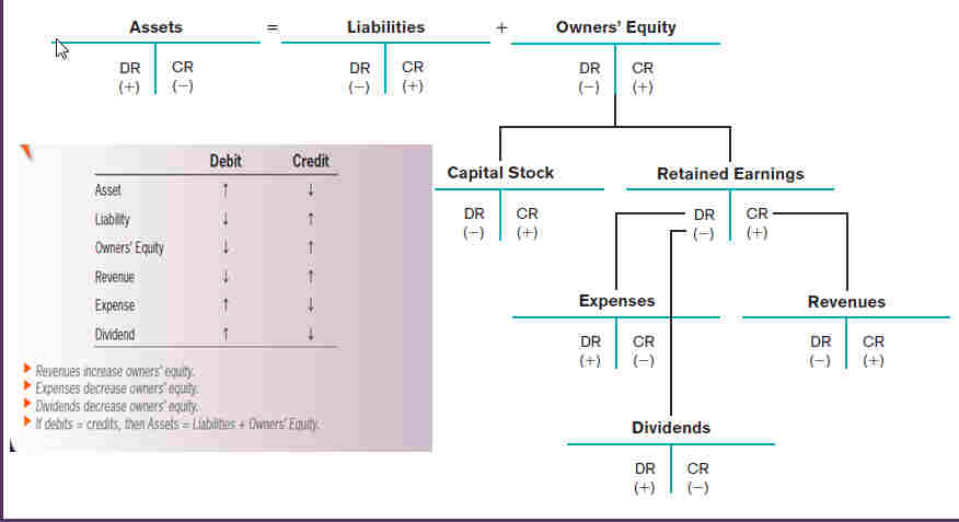 Accounting Equation