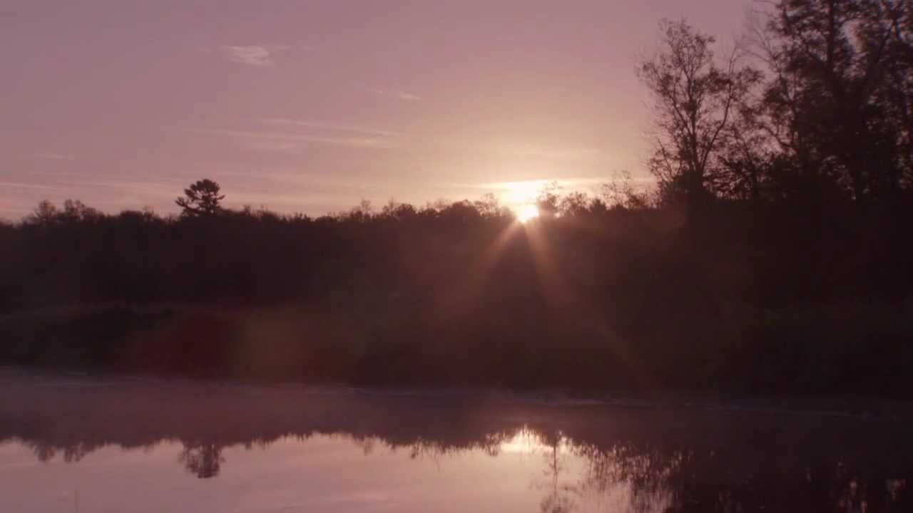 Adfast Missouri