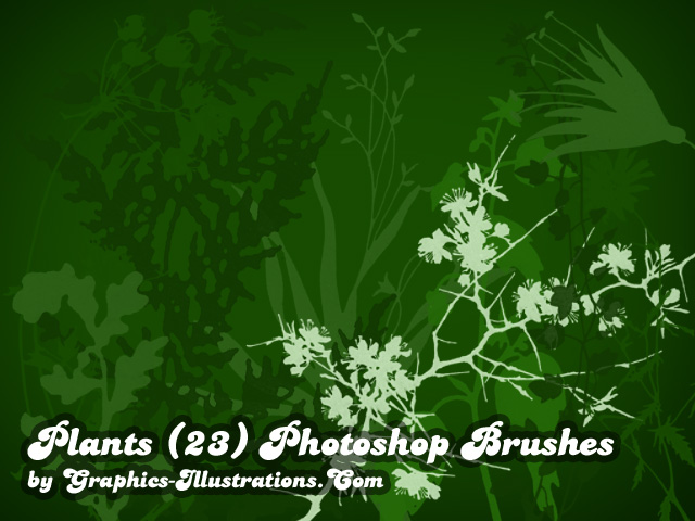 Adobe Photoshop Brushes Free Download 7.0