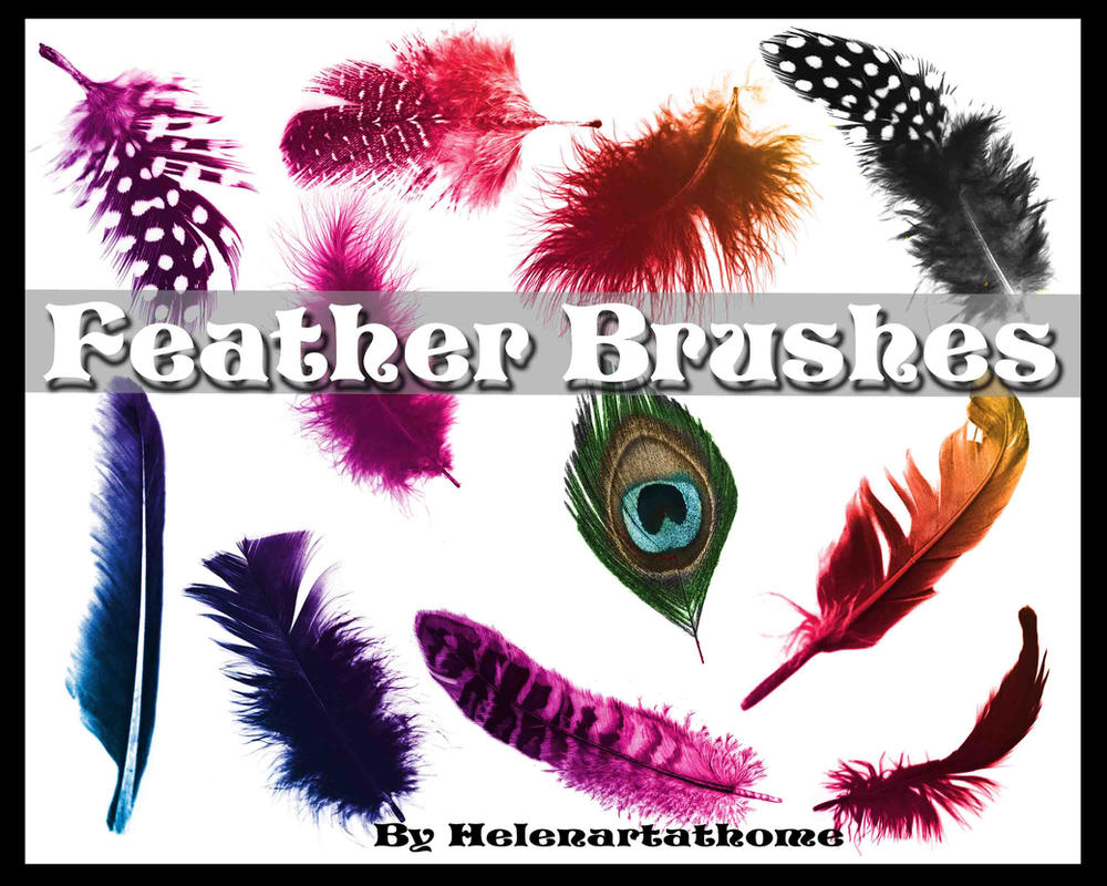 Adobe Photoshop Brushes Free Download Cs6