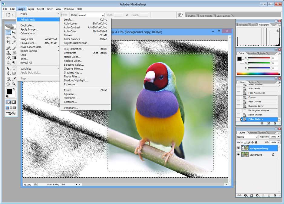 Adobe Photoshop Cs2 Free Download Full Version