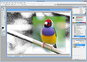 Adobe Photoshop Cs2 Free Download Full Version Not Trial