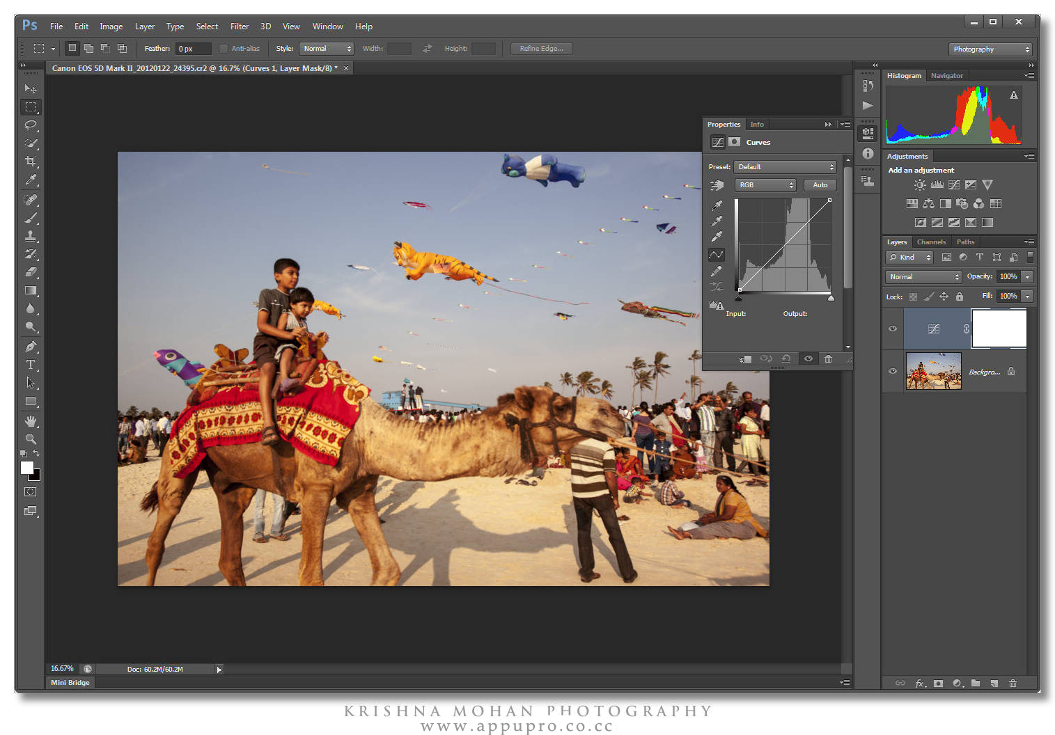 Adobe Photoshop Cs6 Extended Keygen