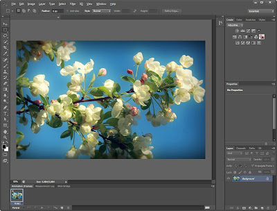 Adobe Photoshop Cs6 Keygen Download Free