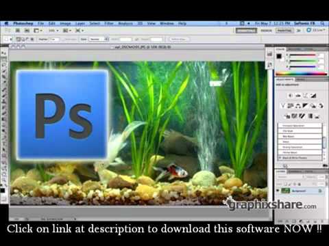 Adobe Photoshop Cs6 Serial Number Free Mac