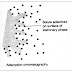 Adsorption Chromatography Applications