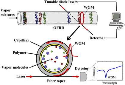 Adsorption Chromatography Applications