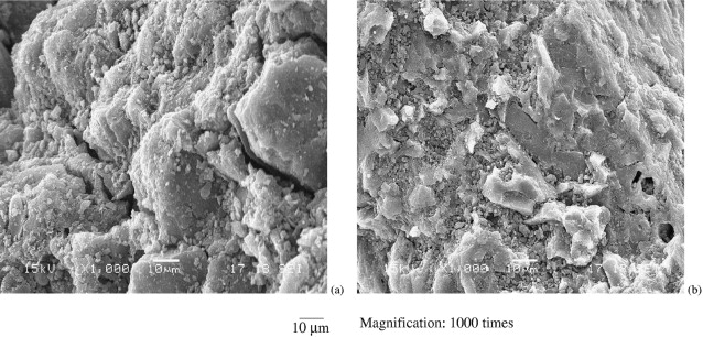 Adsorption Mechanism Activated Carbon