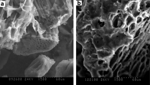 Adsorption Mechanism Activated Carbon