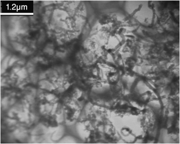 Adsorption Mechanisms Of Organic Chemicals On Carbon Nanotubes