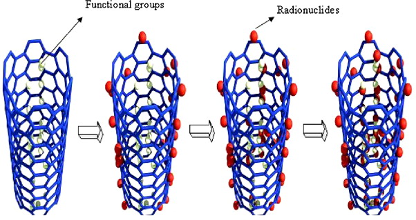 Adsorption Mechanisms Of Organic Chemicals On Carbon Nanotubes