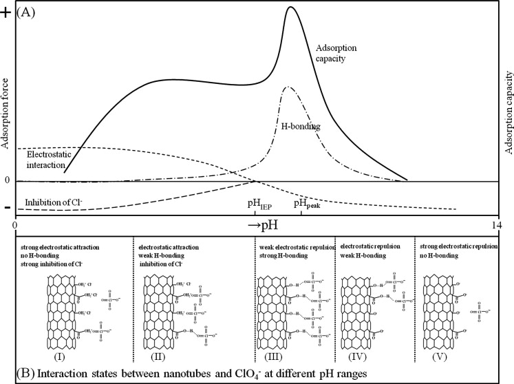 Adsorption Mechanisms Of Organic Chemicals On Carbon Nanotubes