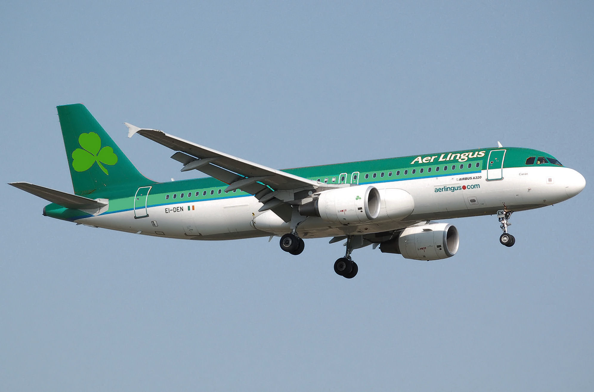 Aer Lingus Logo