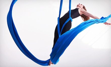 Aerial Hoop Classes Austin Tx