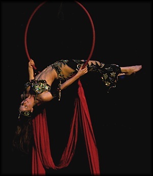 Aerial Hoop Moves