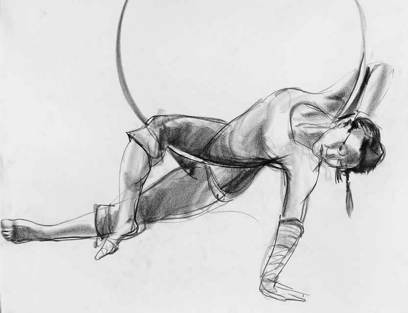 Aerial Hoop Poses