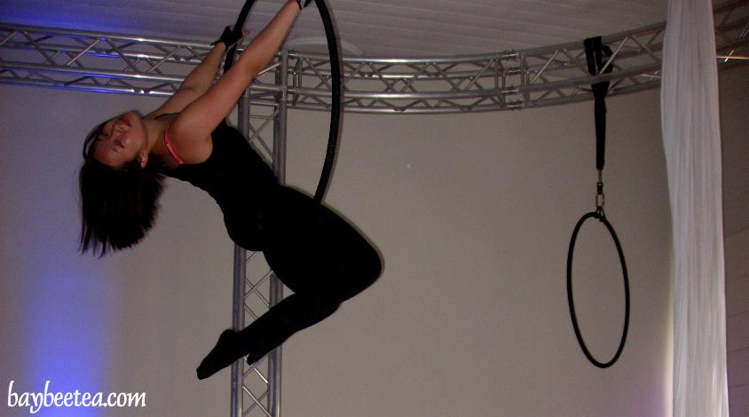 Aerial Hoop Poses