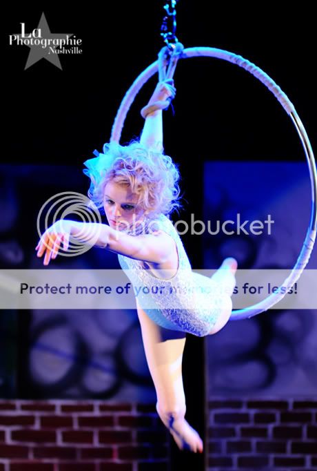 Aerial Hoop Poses