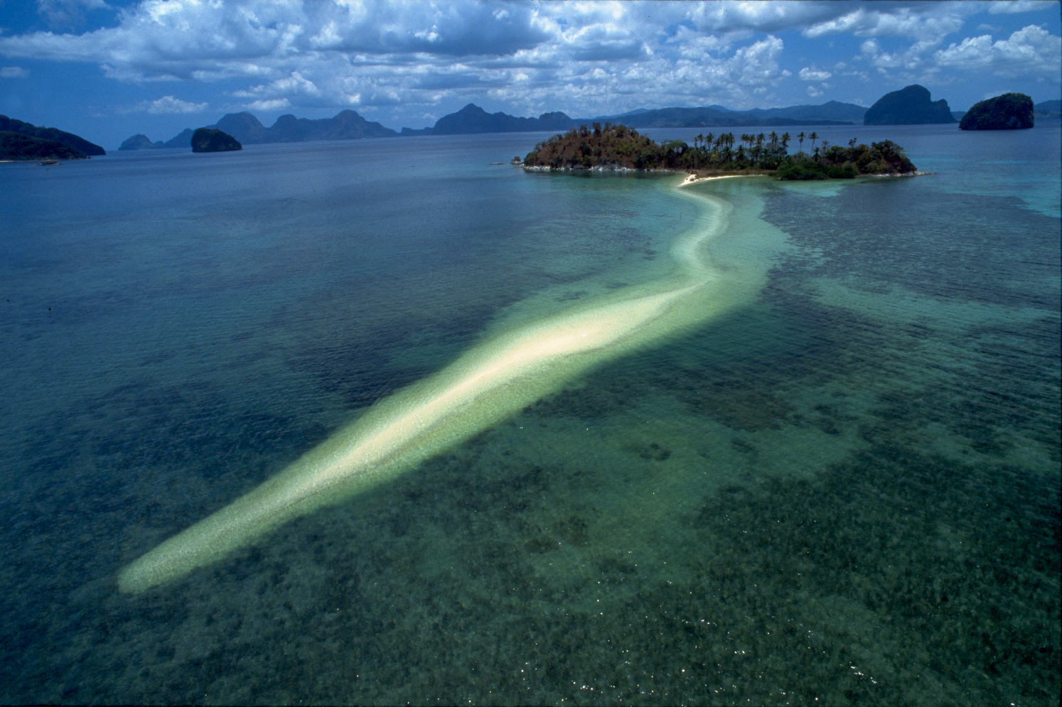 Aerial Photos Of Sharks Near Beaches