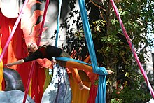 Aerial Silks